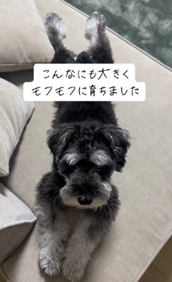 寂しそうな顔をしていたけれど…