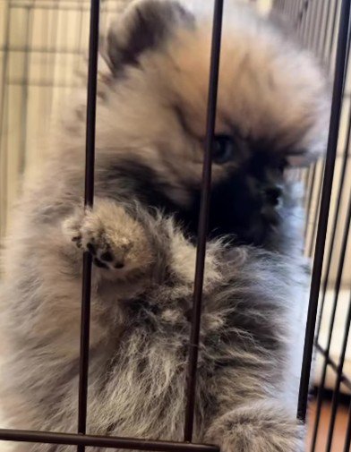 暑くて眠れない…