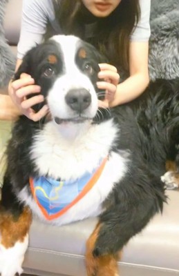 頬をつかまれるハリーくん