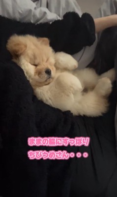 小梅ちゃんの成長2