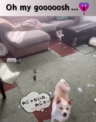 部屋がぐちゃぐちゃ!!