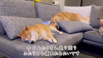 楽しい1日だったね!