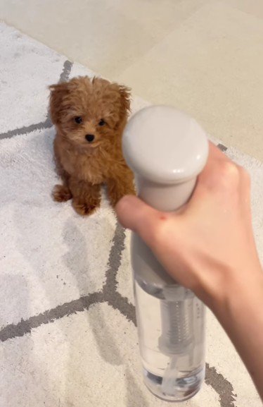 「ん?これなに?」