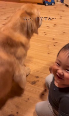 レアくんと赤ちゃんの寝る前の日課9