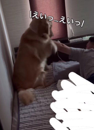 強烈な目覚ましにパパ困惑
