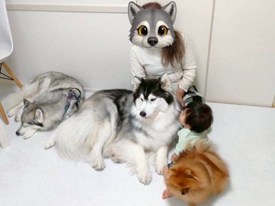 弟くんに集まる