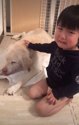 男の子