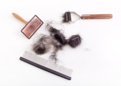 抜け毛とブラッシングアイテム