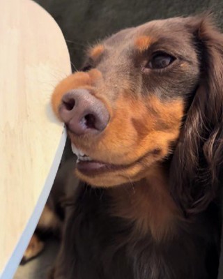 「アイス欲しかった…」