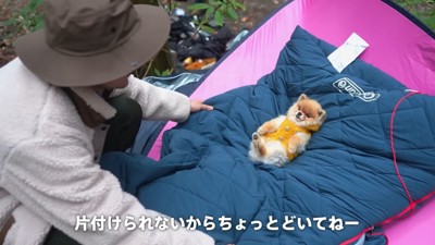 寝袋に寝る犬と片付けようとする人