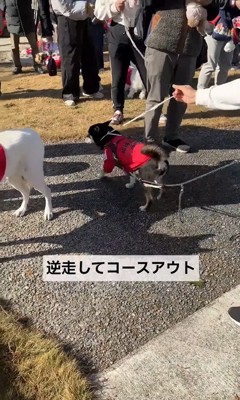 逆走からのコースアウトで失格