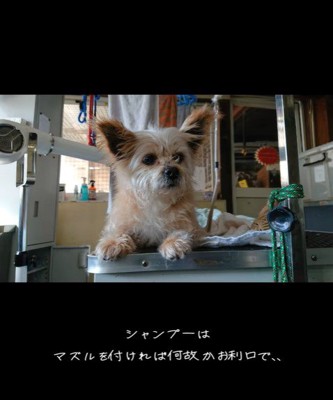 ネオくんが幸せを掴むまで6