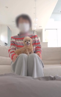 ばぁばの膝の上に乗るあのちゃん