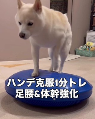 リハビリがルーティン