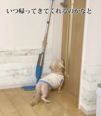 3年後、捨てられることに…