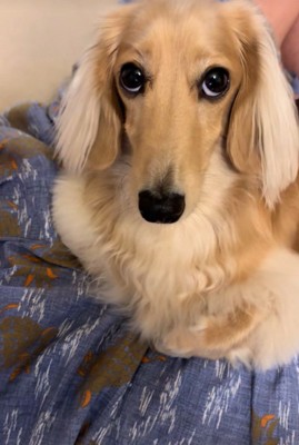 上目遣いでおねだり♡