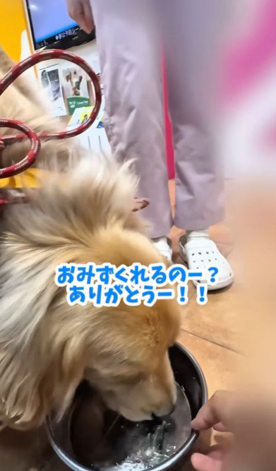 獣医師さんが水をくれた