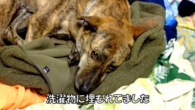 まさかの場所にいたりゅうさん5