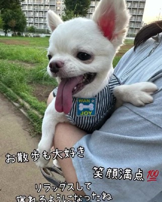 笑顔を見せてくれるようになった