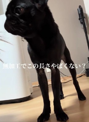 足が長い！！