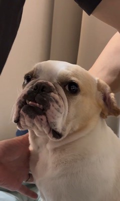 みやびちゃんの怒った顔3