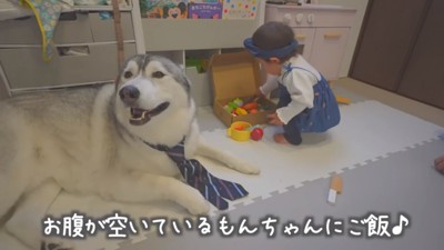 おままごと開始する娘さん