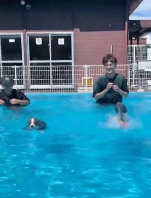 前進する犬たち