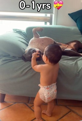 ゆめちゃんの口を触るハリーくん