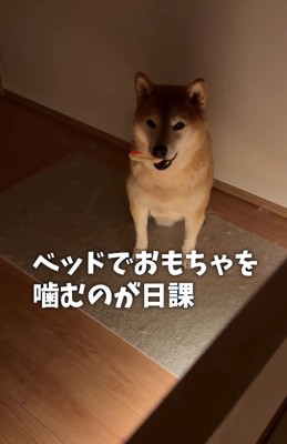 なんとも健気…