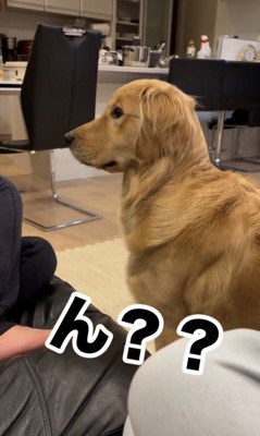 視線で圧