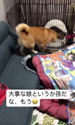 サークルに到着