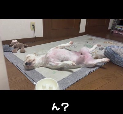 予想外の姿に…