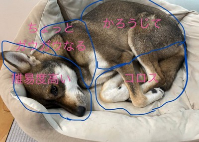 顔見知りはお断り