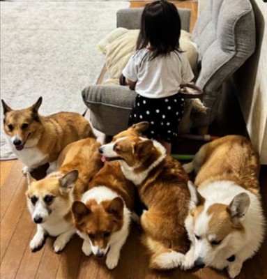 ボディーガード