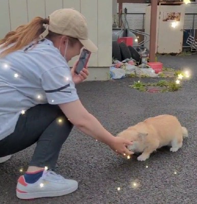 久しぶりになでてもらう