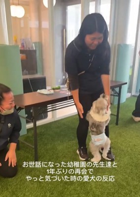 先生に駆け寄る小型犬