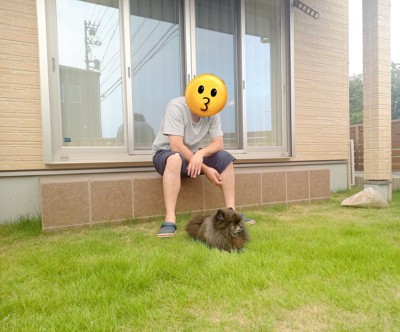 ポメ