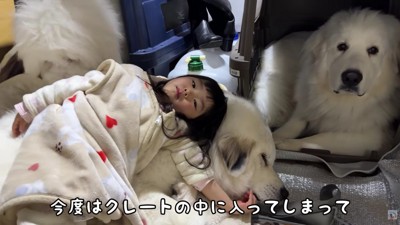 むぅむぅちゃんが降りられなくなった!