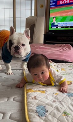 こぶし君と赤ちゃん