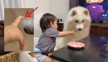 「これだけ?」