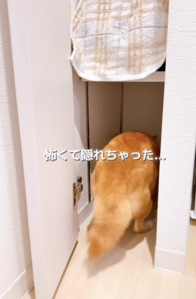 クローゼットに避難!