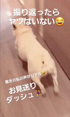 やまわきさんのお見送り7