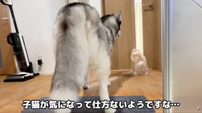 「どんな子かな…？」