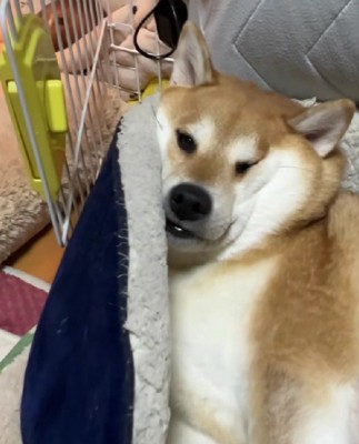 束の間の1人時間を満喫