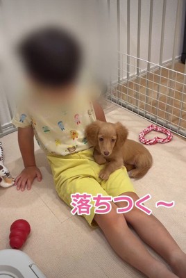 リラックスするクララちゃん