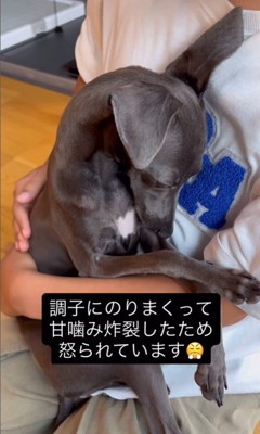 反省中のクッカちゃん2