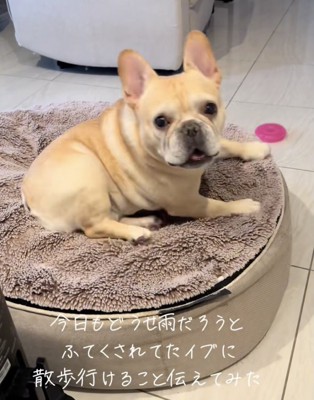 「すぐ行こ!」