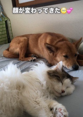 リラックスすることを教わった