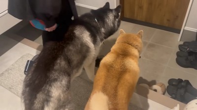 見送る背中が切ない…