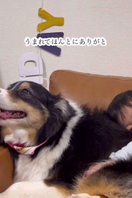 「生まれてありがと」